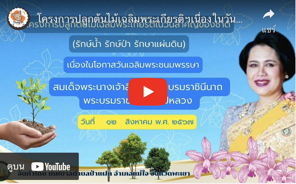 โครงการปลูกต้นไม้เฉลิมพระเกียรติ เนื่องในวันที่ 12 สิงหาคม 2567